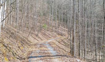 9999 One Feather Rd LOT E103, Whittier, NC 28789