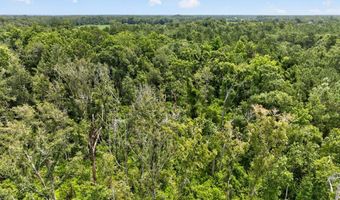 Farmingdon Drive, Adel, GA 31620