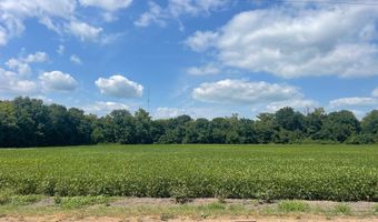 1338 Beulah Rd, Beulah, MS 38726