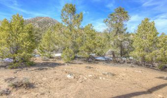 APN 006-420-17 Lucky Boy Pass Road, Hawthorne, NV 89415
