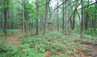 2782 River Rdg, Alger, MI 48610