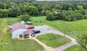 705 Vines St SE, Arab, AL 35016