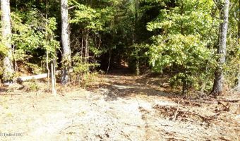 414 247 Country Rd, Bruce, MS 38915