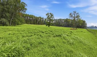 254 TH Ln Lot 19, Alachua, FL 32615
