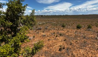 1203 S 275 E, Blanding, UT 84511