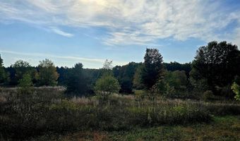 303 Westwood Rd NW, Alden, MI 49612