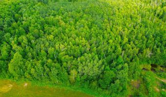 County Road Y, Aniwa, WI 54408