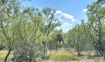 Tbd TBA Cnty Road 100, Abilene, TX 79601