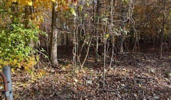 Julius Bridge Road, Ball Ground, GA 30107