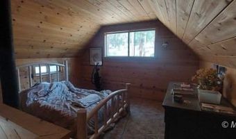 40 Acres Off 36N06, Adin, CA 96006