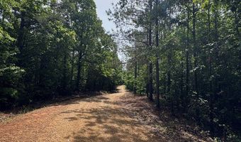 HWY 9, Banner, MS 38913