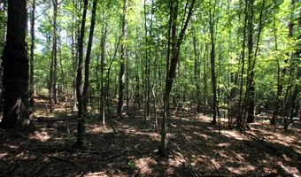 000 Sorrell Rd, Benton, AR 72015