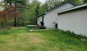 1148 Horseshoe Dr, Alger, MI 48610