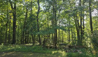 16112 BARNESVILLE Rd, Boyds, MD 20841