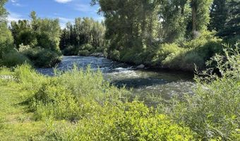 209 Deer Path Ln, Almont, CO 81230