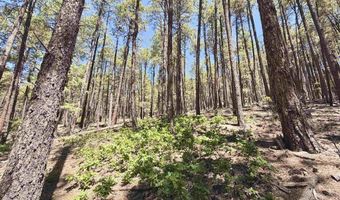 249 Timber Dr, Bayfield, CO 81122