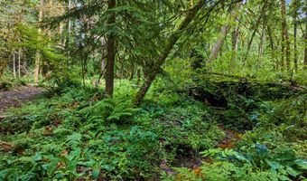 64601 E BRIGHTWOOD LOOP Rd, Brightwood, OR 97011
