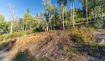 1037 Snow Crest Rd, Alpine Meadows, CA 96146
