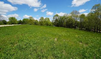 8 A212 Adams Court Lot 8A213 Adams Ct, Apple River, IL 61001