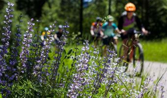 24362 E Atlantic Dr, Aurora, CO 80018