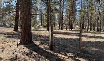 0 Mina Bird Lot 7 & 8, Bonanza, OR 97623