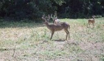 000 Hwy 105, Atkins, AR 72823