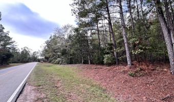Lot B RIDGE Road, Appling, GA 30802