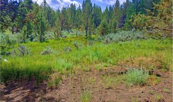 12142 Burns-Izee Rd, Seneca, OR 97873