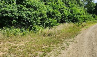 Pheasant Chase lot 3812 81 T, Ararat, VA 24053