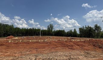 Lot 2 Silver Dollar, Barnesville, GA 30204
