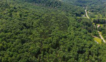 738 Four Mile Rd, Allegany, NY 14706