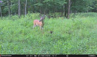 566 A Tunnel Ridge Rd, Argillite, KY 41121