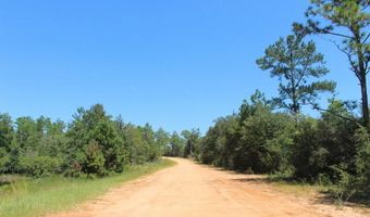 Sycamore Street, Alford, FL 32420