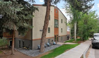 910 W Hallam St 9, Aspen, CO 81611