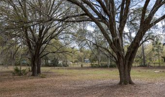 3670 NW 20TH Ave, Bell, FL 32619