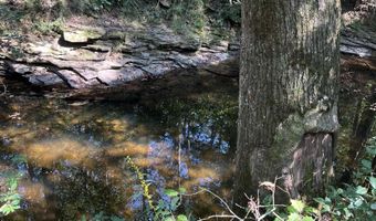 225 Stone Rd, Albertville, AL 35951