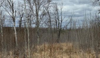 TBD40 Township Road 5743, Alborn, MN 55702