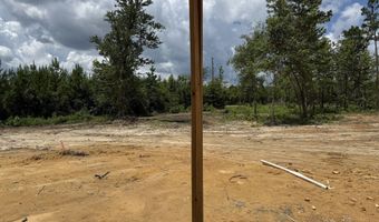 Lot 1 Silver Dollar, Barnesville, GA 30204