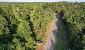 0 80 Acres-TBD Cantley Landing Rd, Andrews, SC 29510