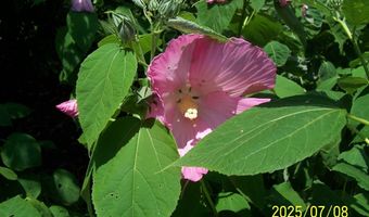 106 CREEKSIDE Dr, Dagsboro, DE 19939