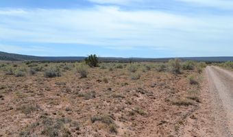 N8577 18, Concho, AZ 85924