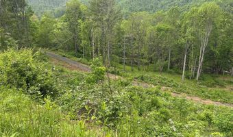 Pumpkin Patch Road, Bakersville, NC 28705