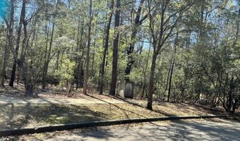 Lot 1061 Duany Dr, Georgetown, SC 29440