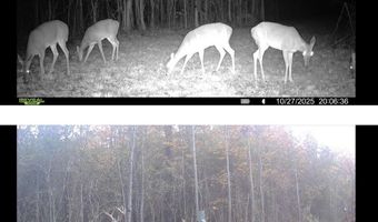 32 Acres Wesson Gap Rd, Attalla, AL 35954