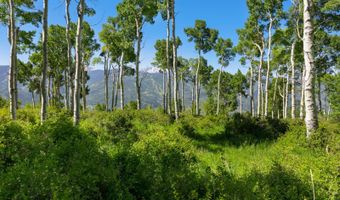 114 Goldenrod, Avon, CO 81620