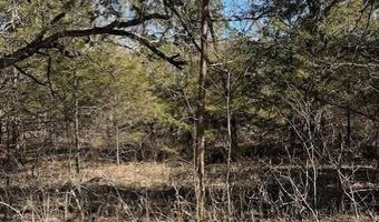 7789 W Co Rd T-561, Ava, MO 65608