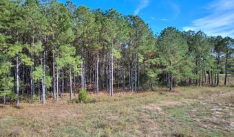 1110 KREG Ave, Albany, GA 31721