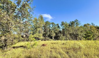 Eugene Ward Road, Adrian, GA 31002