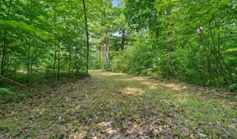 1125 39th St, Allegan, MI 49010