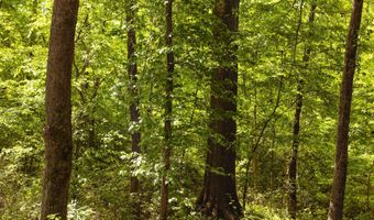 Beech Bluff Road, Beech Bluff, TN 38313